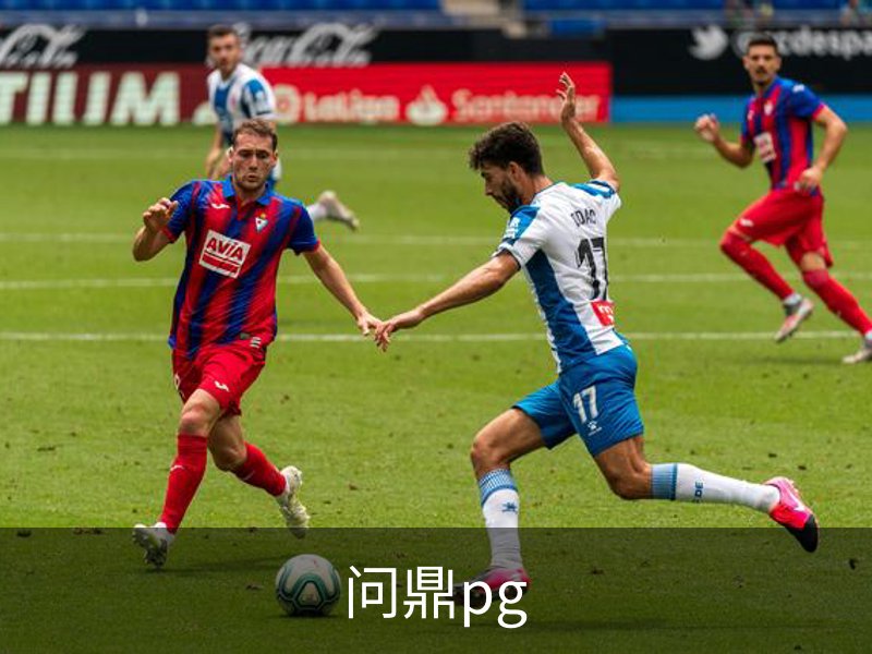 问鼎pg介绍